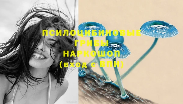 ешки Абинск